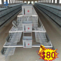 Chicken Breeding Cage  With Good Quality